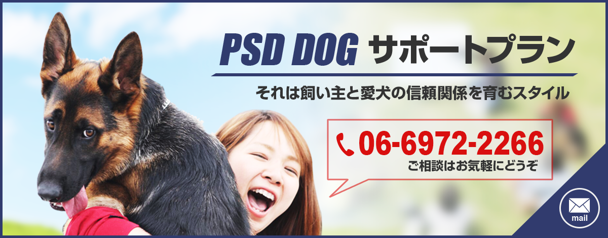 犬のしつけやペットシッターなら大阪・東京PSD