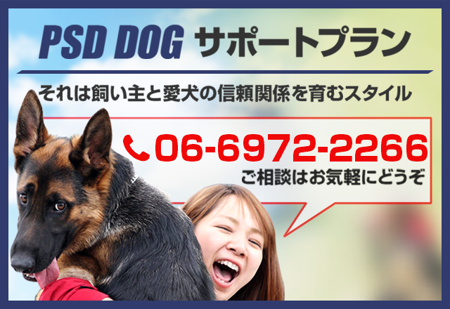 犬のしつけ訓練トレーニングについてPSDへお電話でお問い合わせください。